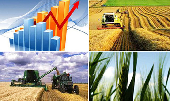 مفتاح التنمية في تونس.. توقّعات بارتفاع الاستثمارات في القطاع الفلاحي إلى ملياري دينار في 2026